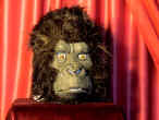 maschera gorilla.jpg (63211 byte)